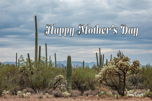 Desert Blooms Mother's Day Greeting Card