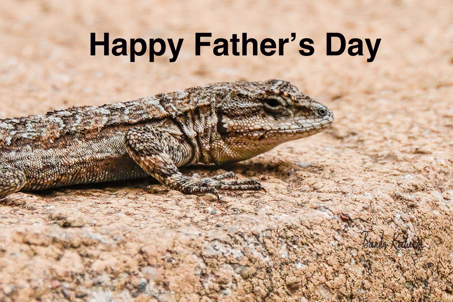 Lizard Photograph for Father's Day Greeting Card