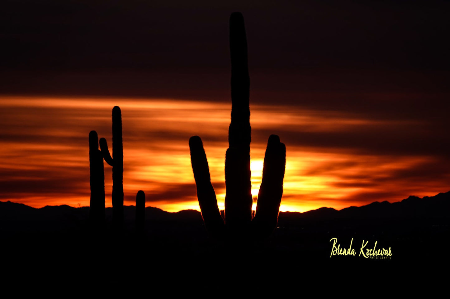 Saguaro Sunset Matted Print 7" x 5"
