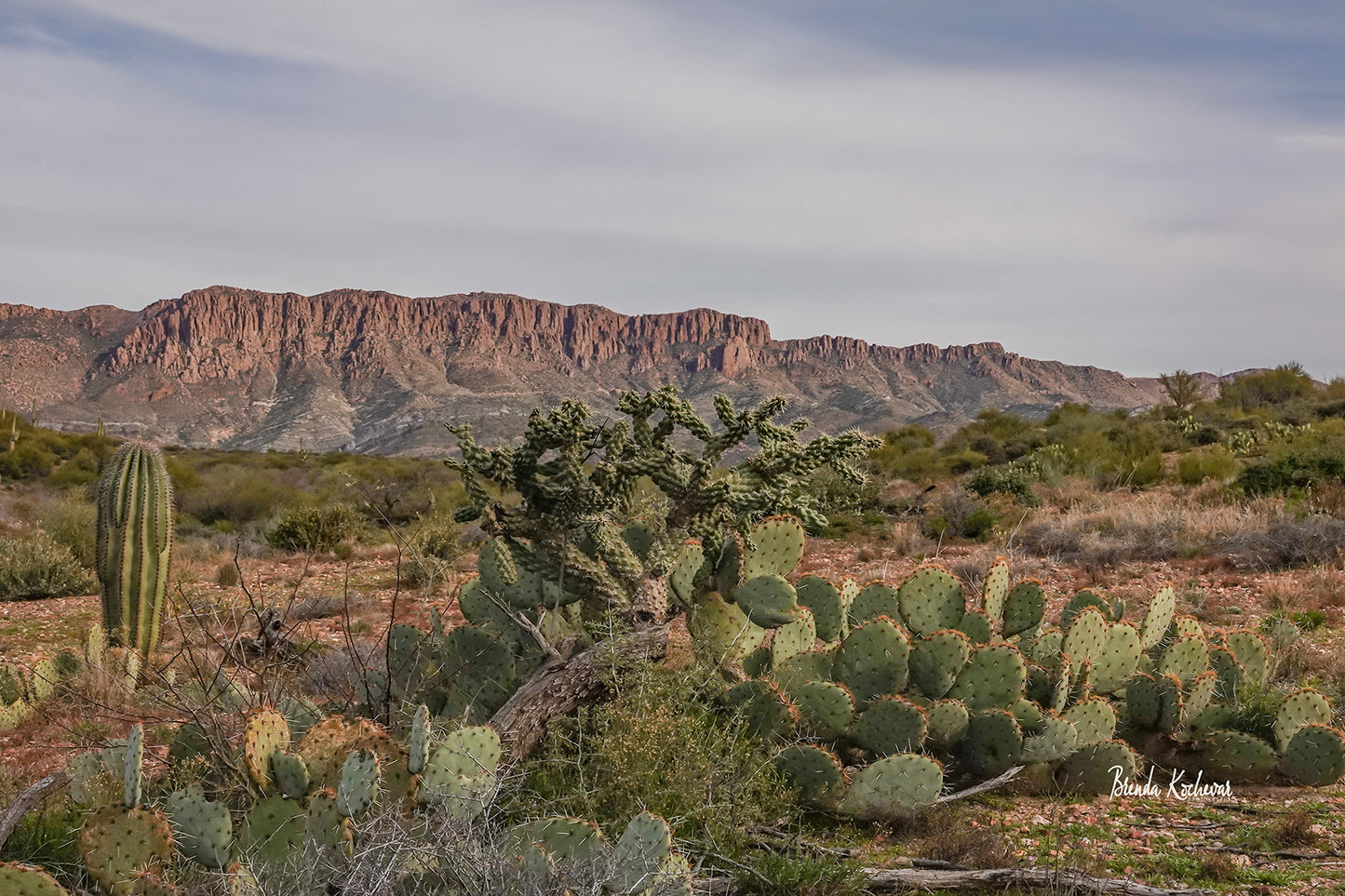 Apache Leap & Cacti Ornament