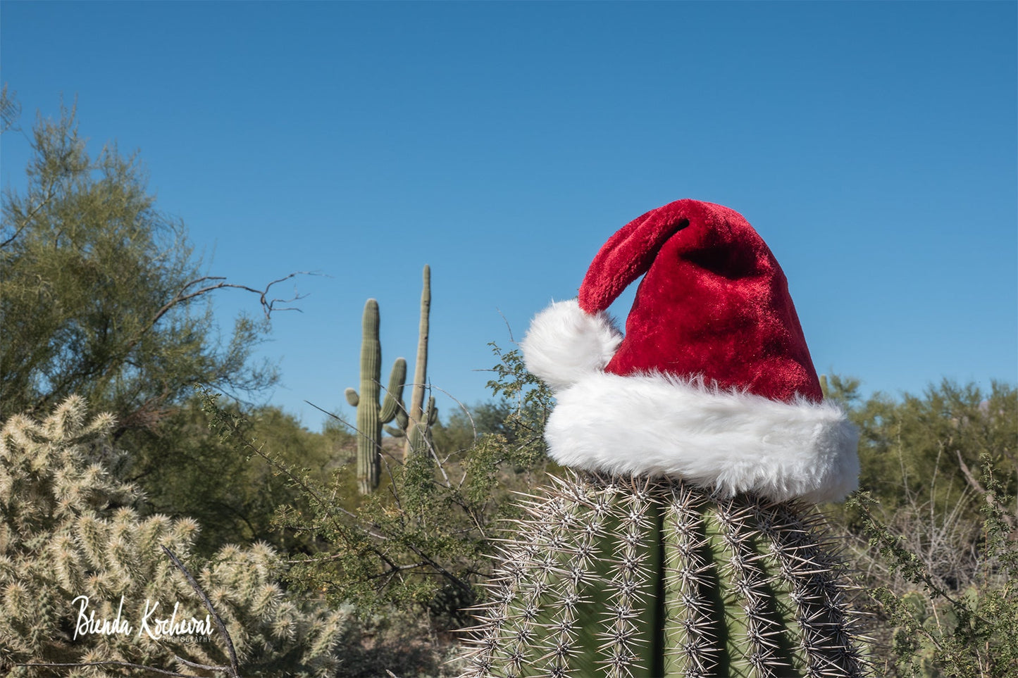 Desert Christmas Photograph on a Glitter Ornament