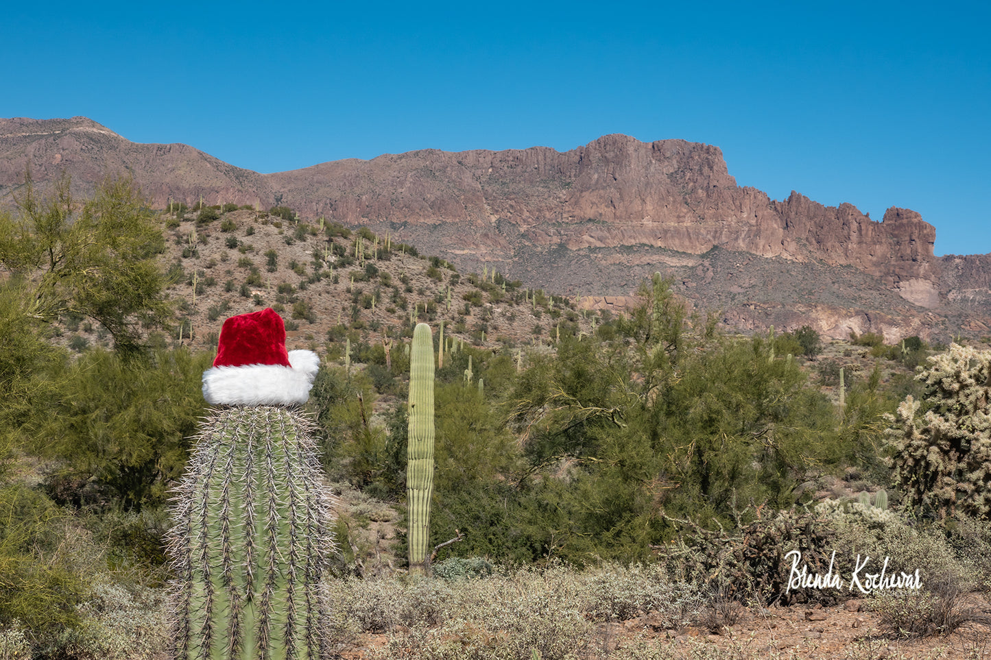 Peralta Christmas Greeting Card