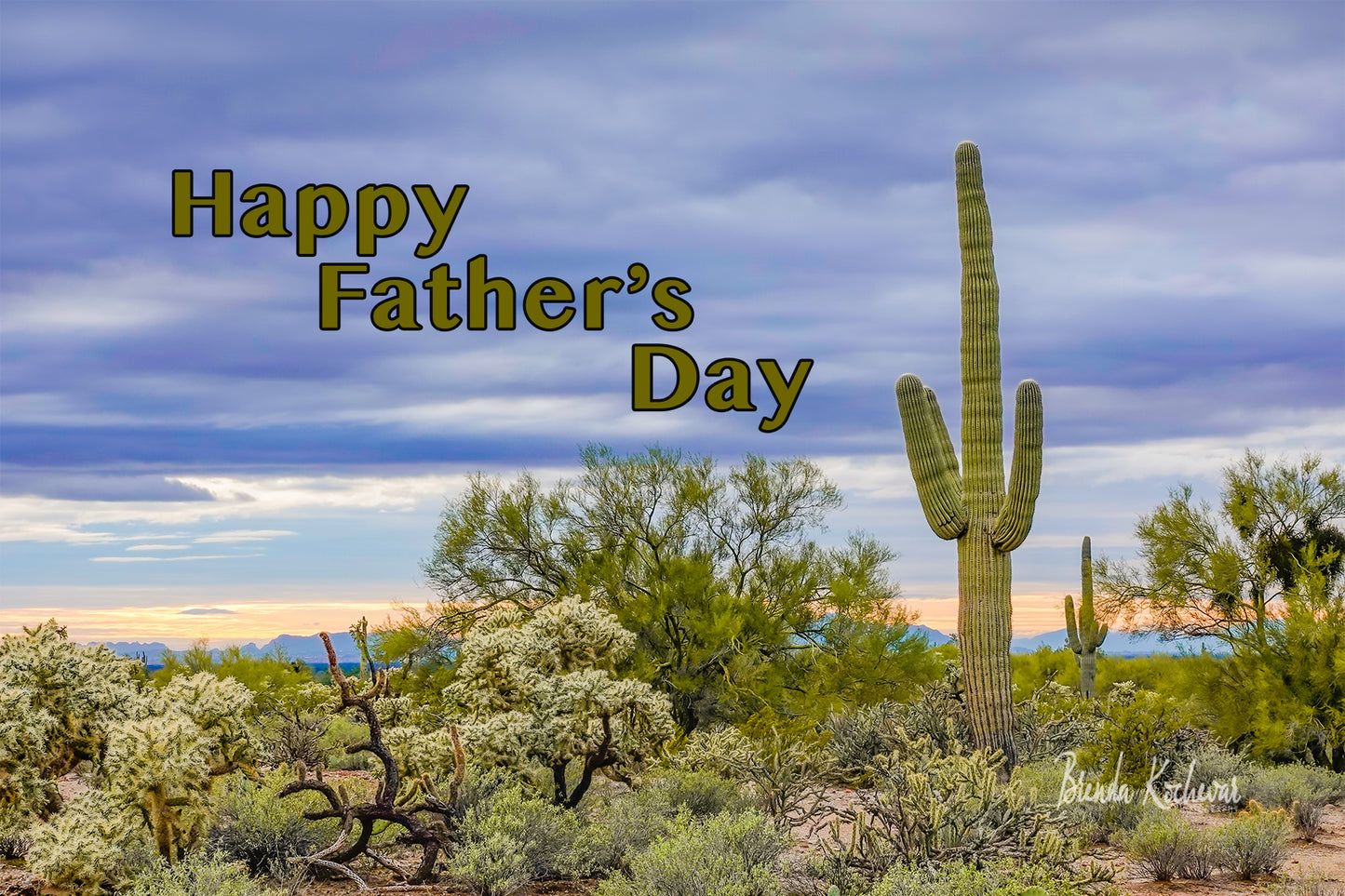 Sunset Saguaro Desert Scene Father's Day Greeting Card