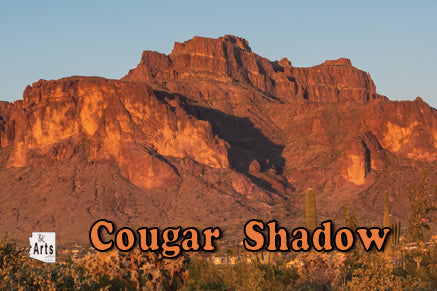 Cougar Sunset Photograph in a Viewfinder