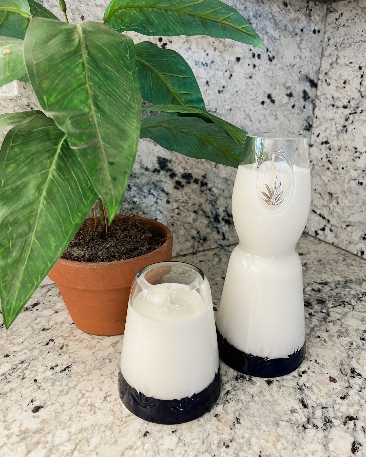 Recycled Clase Clear Mini - SCCo