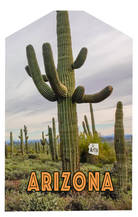 Field of Saguaros Luggage Tag