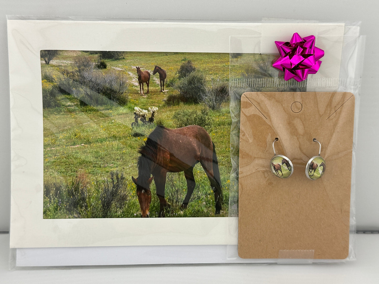 Salt River Wild Horse Friends Greeting Card & Earring Set