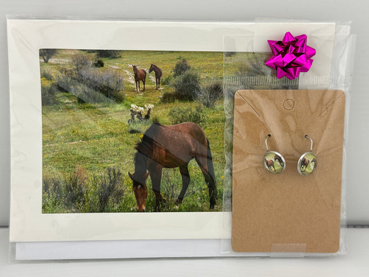 Salt River Wild Horse Friends Greeting Card & Earring Set