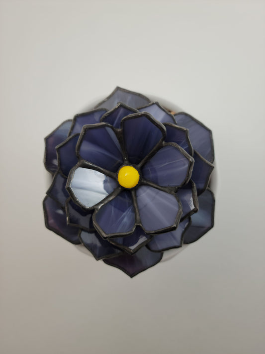 Succulent - Stained Glass Agave
