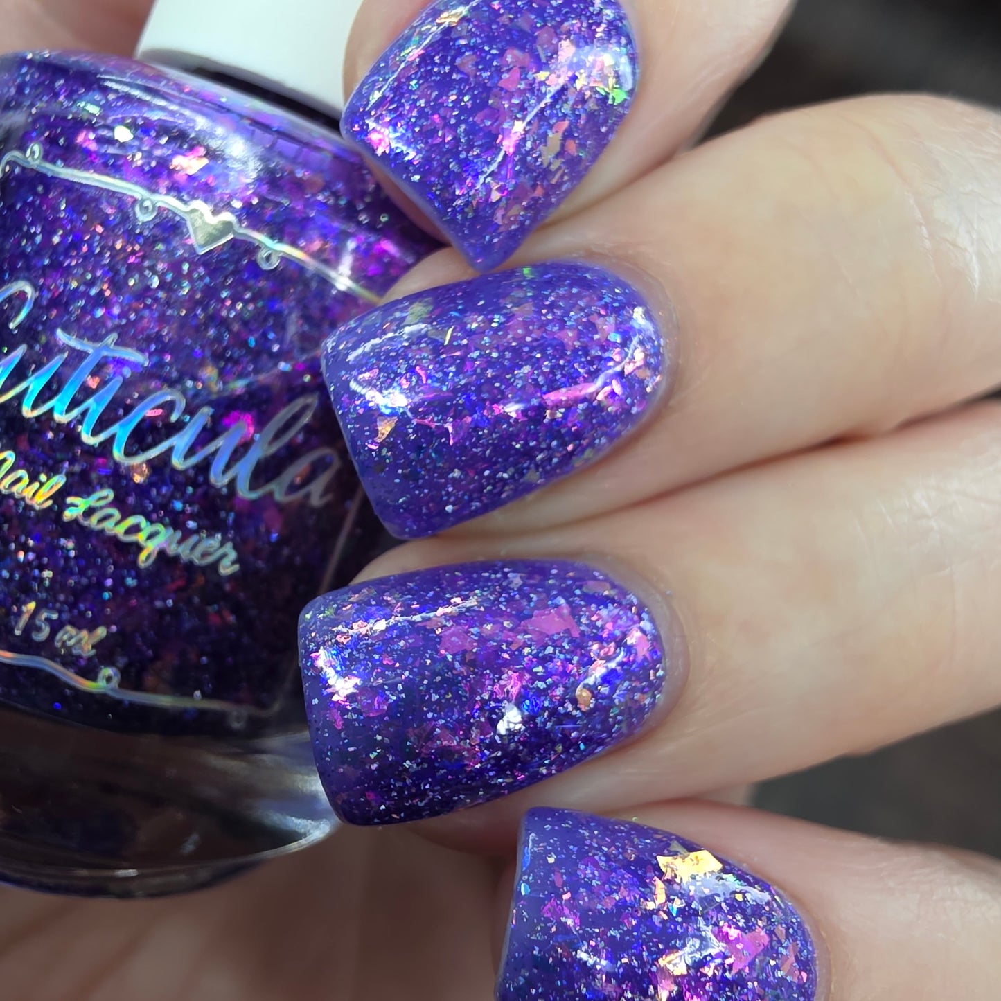 Butterfly Wonderland