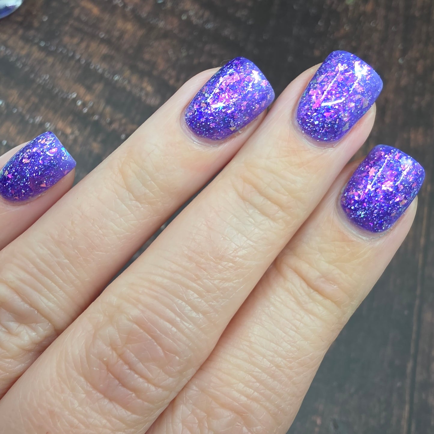 Butterfly Wonderland