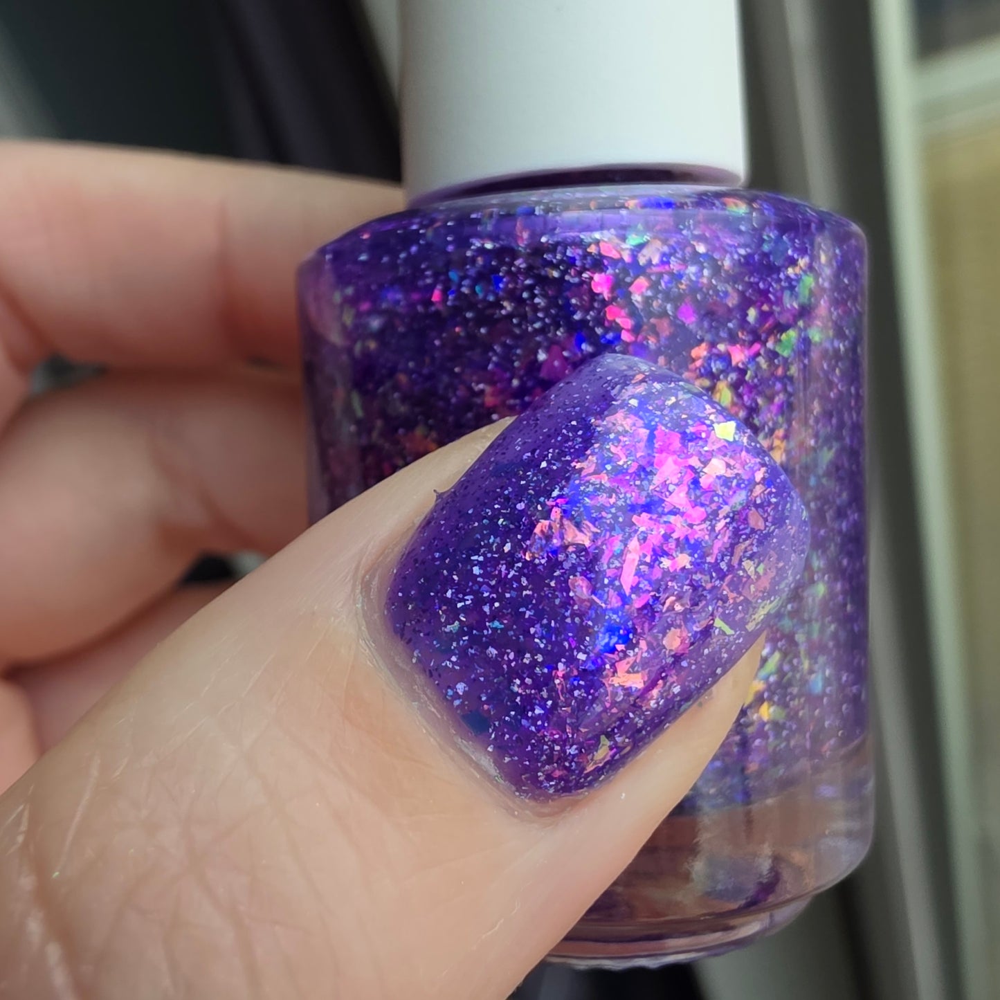 Butterfly Wonderland