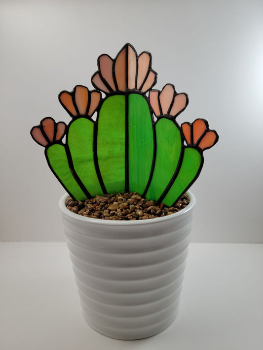 Potted Succulents - Large 3D Cactus