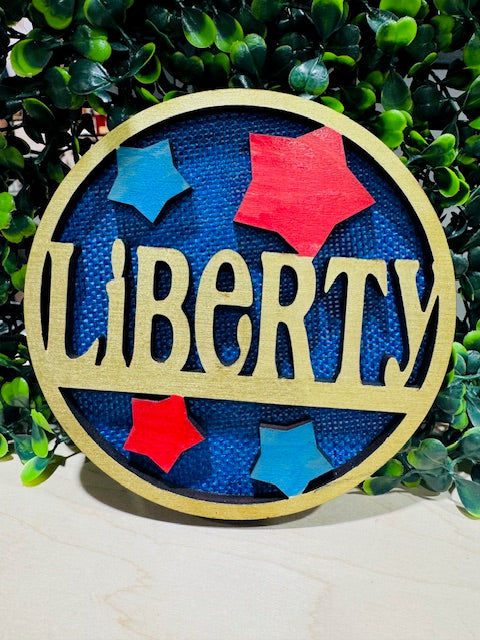 Magnetic Insert 4th of July - STV