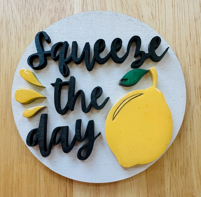 Magnetic Insert - Squeeze The Day - STV