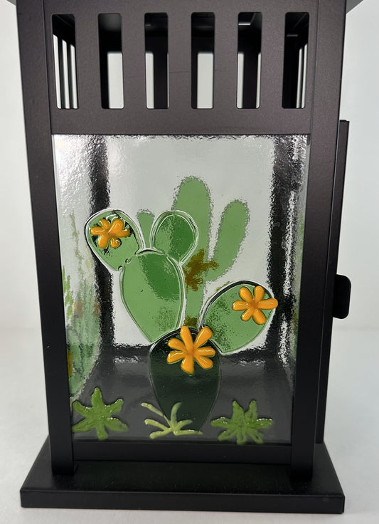 Lantern - Whimsical Succulents