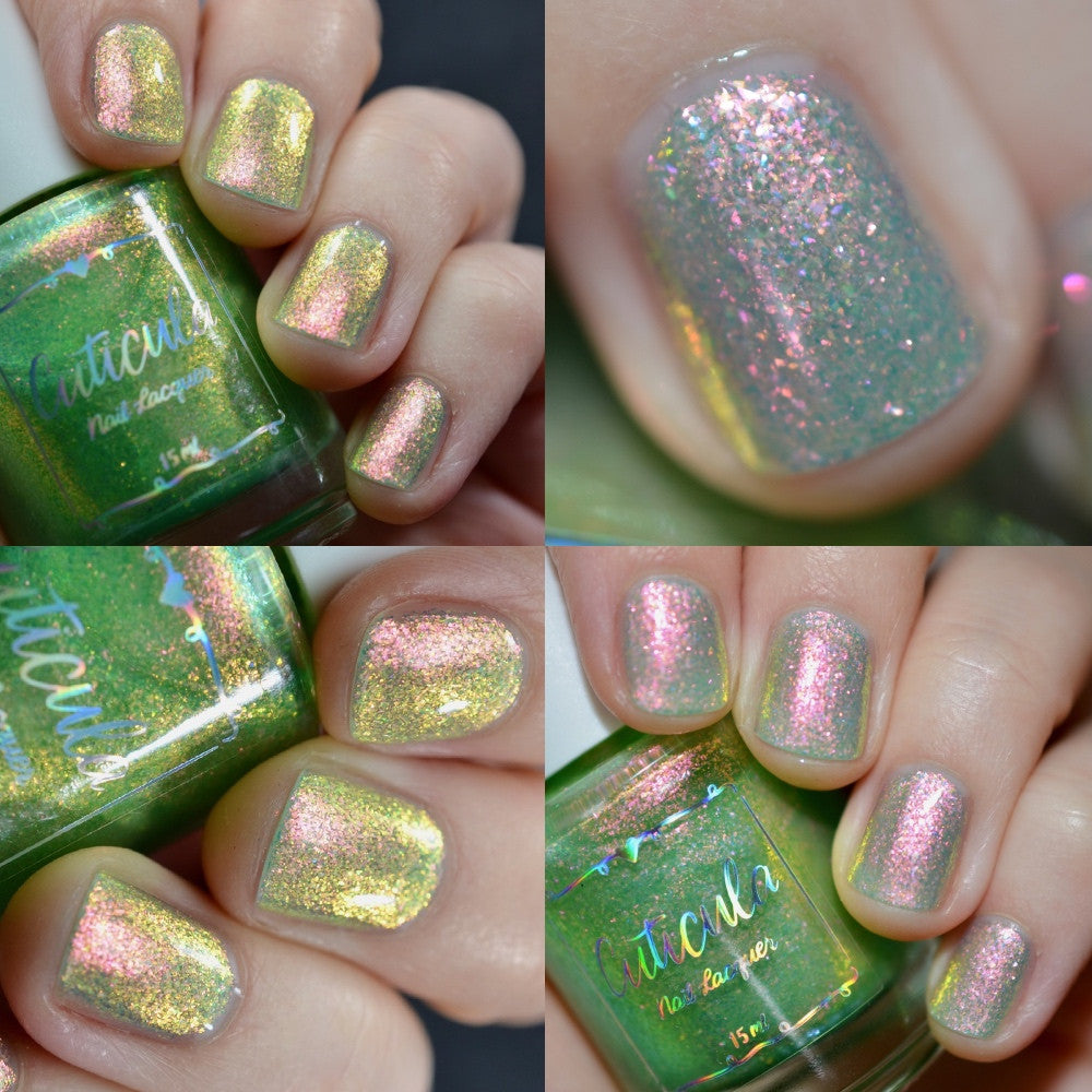 Sugar Melon