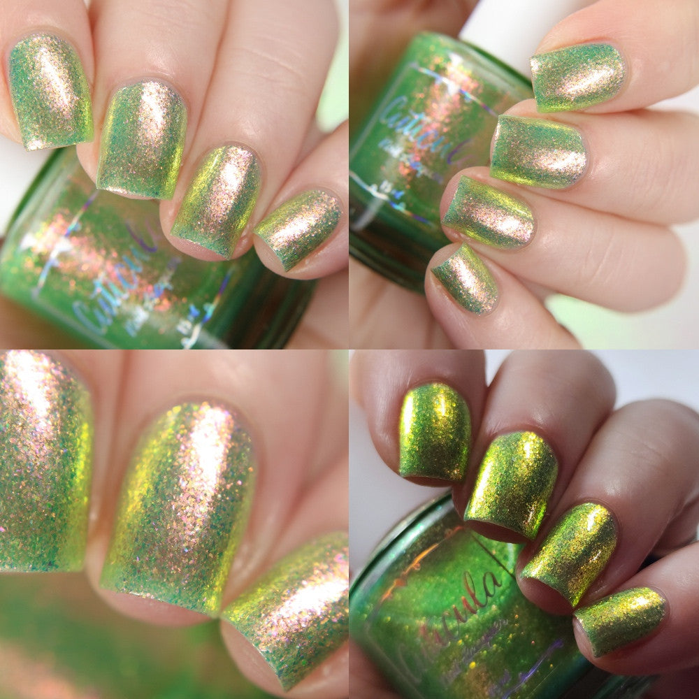 Sugar Melon