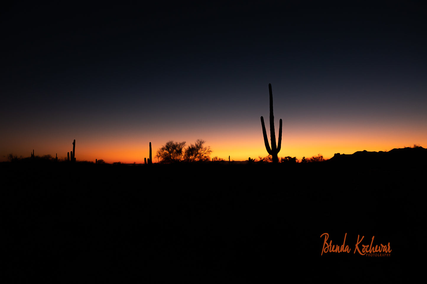 Saguaro Sunset Photography on a Greeting Card
