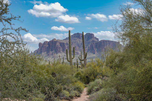 Trail to Superstition Mountain Greeting Card
