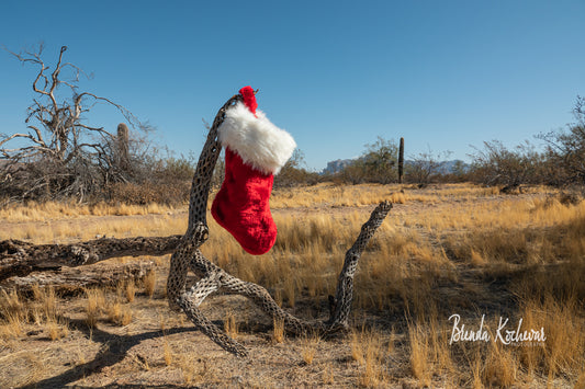 Christmas Stocking in the Desert Greeting Card