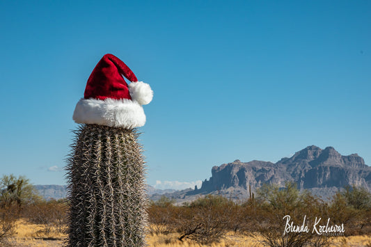 Christmas in the Desert Greeting Card