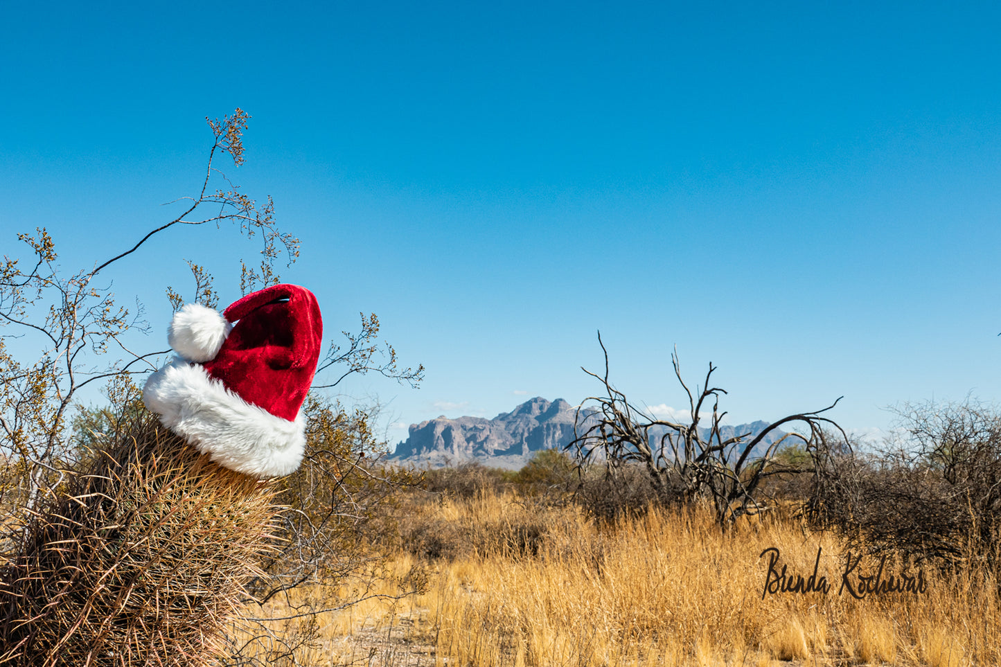 Christmas Hat in the Desert Greeting Card
