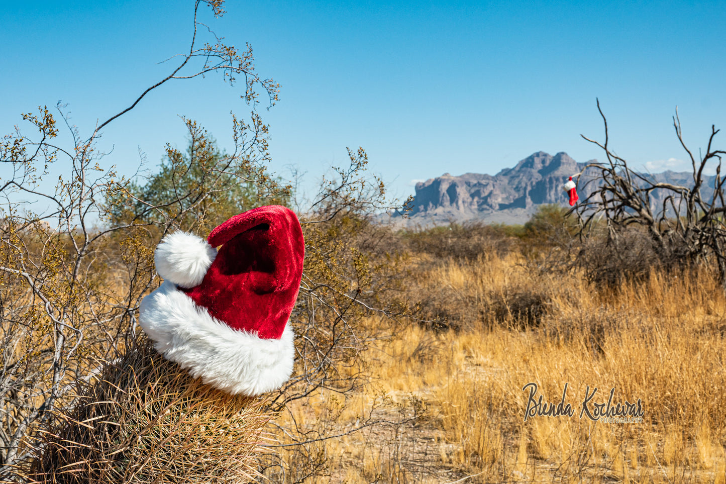 Christmas Hat & Stocking in the Desert Greeting Card