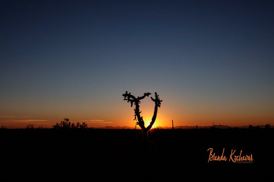 Photo Cholla Desert Sunset Glitter Ornament