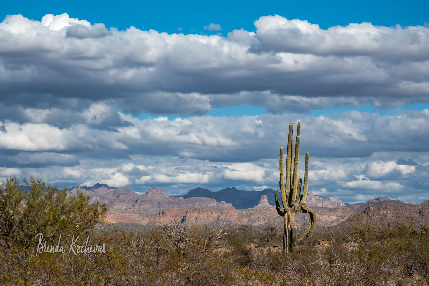 Cloudy Desert & Saguaro Bent Arm Greeting Card