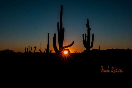 Saguaro Sunset Starburst 4"x6" Mini Canvas