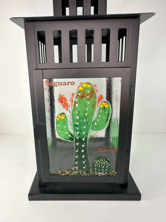 Lantern - Desert Plants