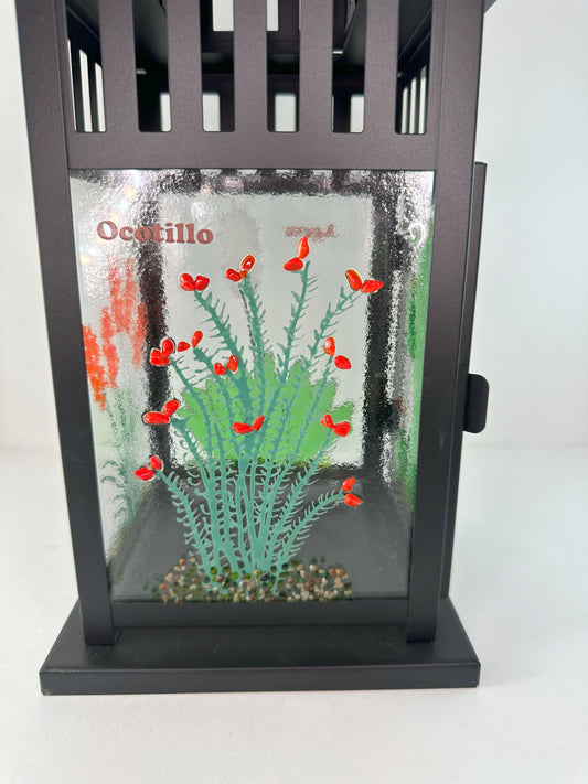 Lantern - Desert Plants
