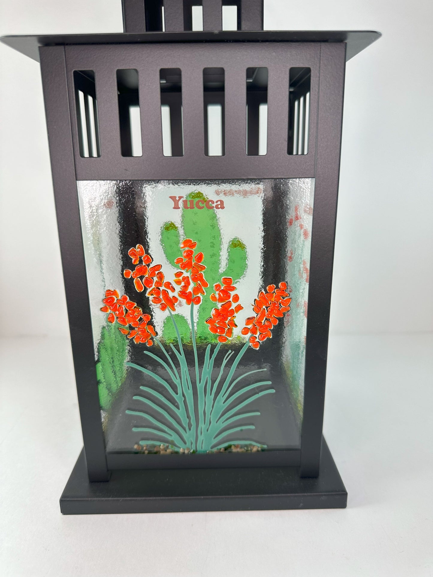 Lantern - Desert Plants