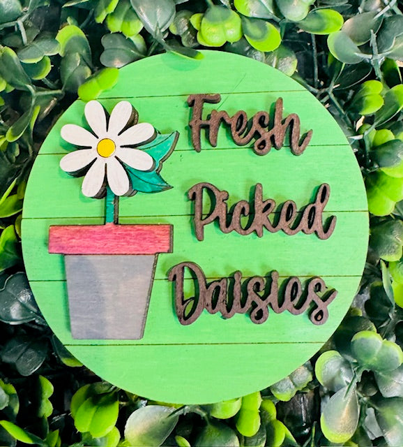 Magnetic Insert 3" Fresh Picked Daises - STV