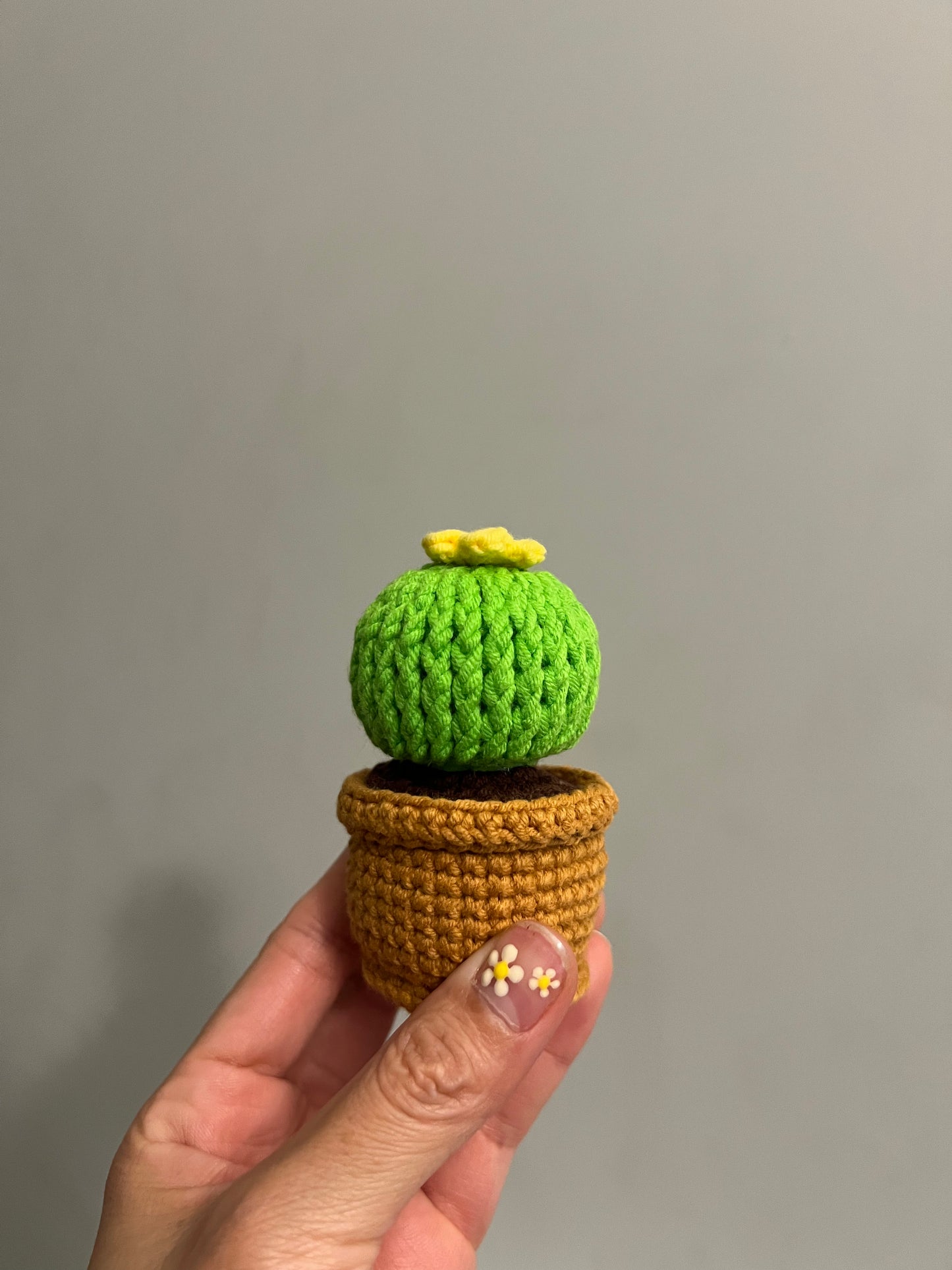 Cactus L.O.V.E set 4pcs
