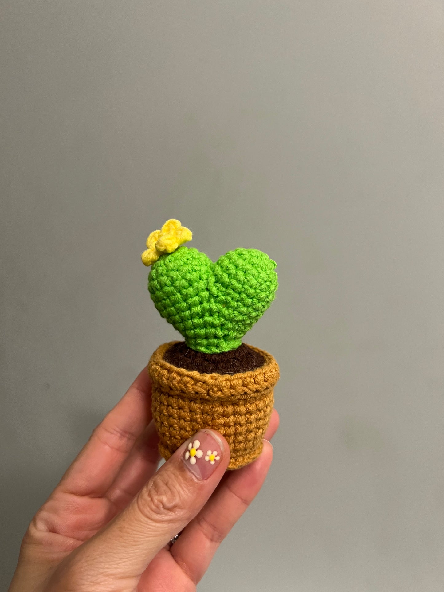 Cactus L.O.V.E set 4pcs
