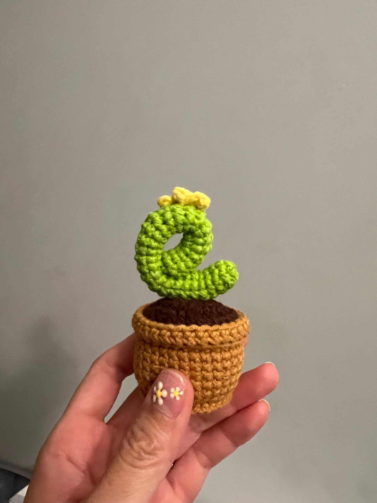 Cactus L.O.V.E set 4pcs