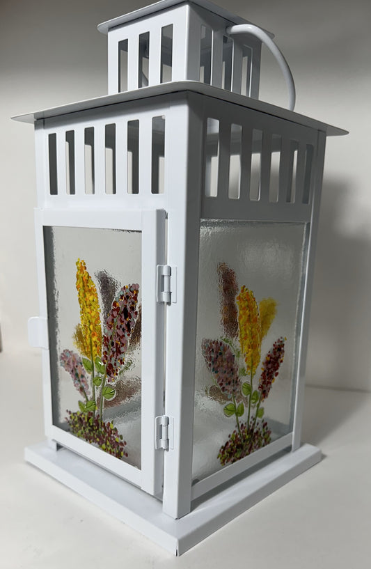 Lantern - Cox Hyacinths