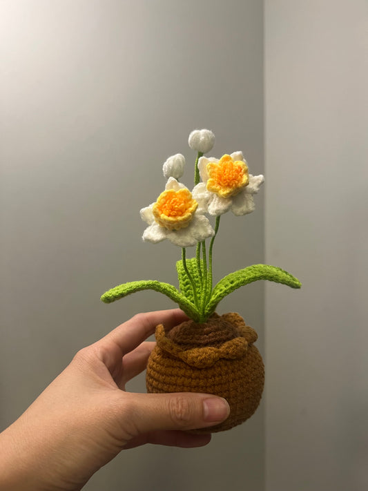 crochet daffodil plant