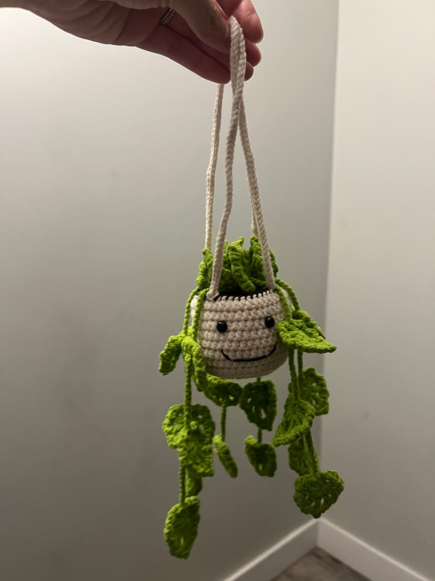 crochet plant pot