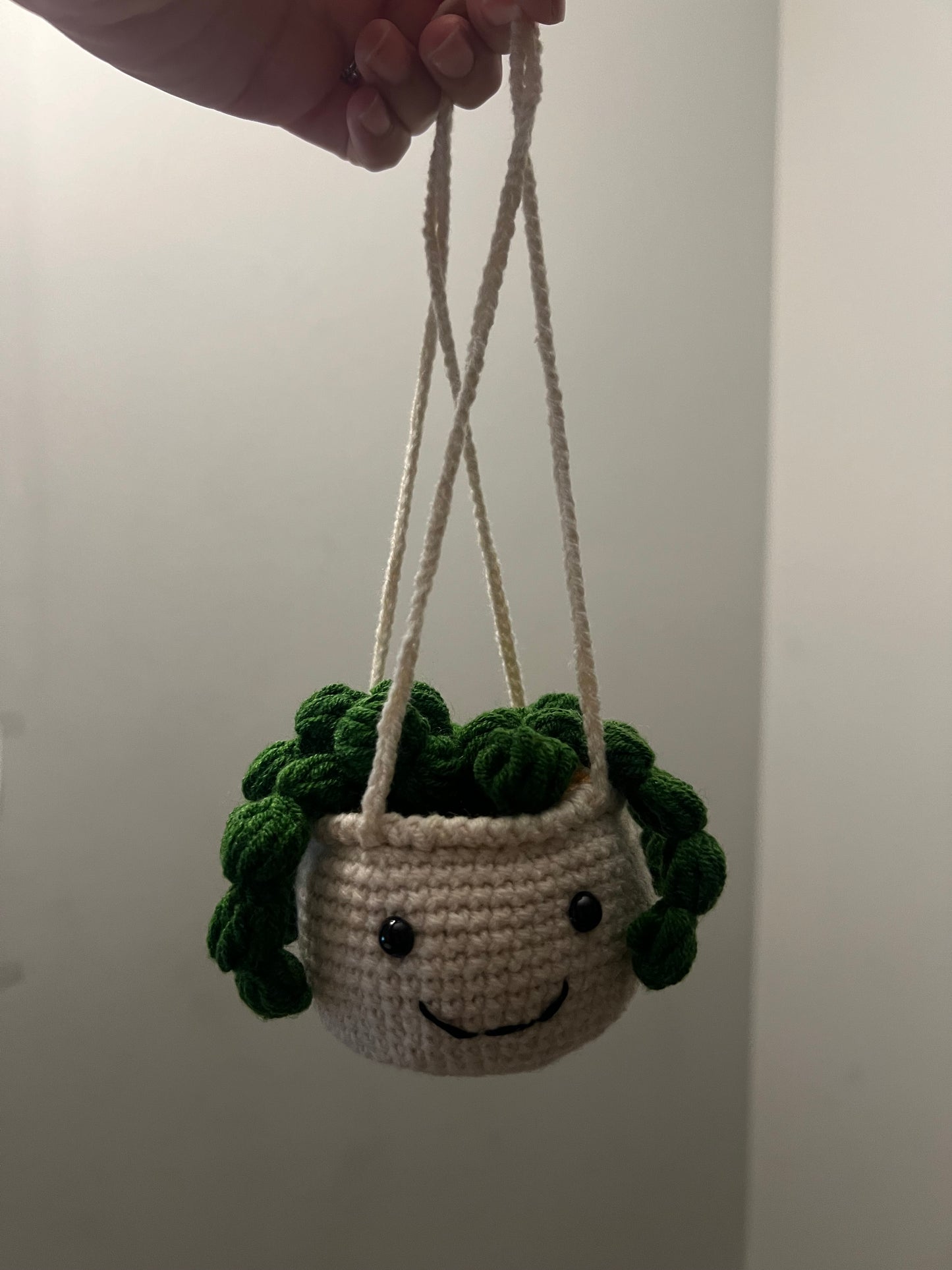 crochet plant pot