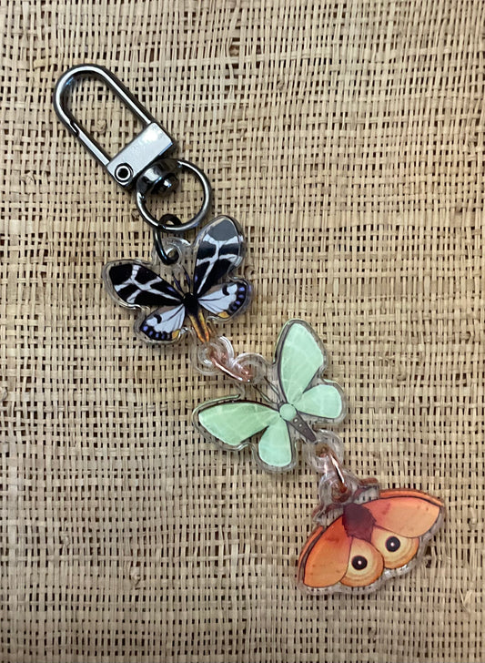 Three Moth Charms