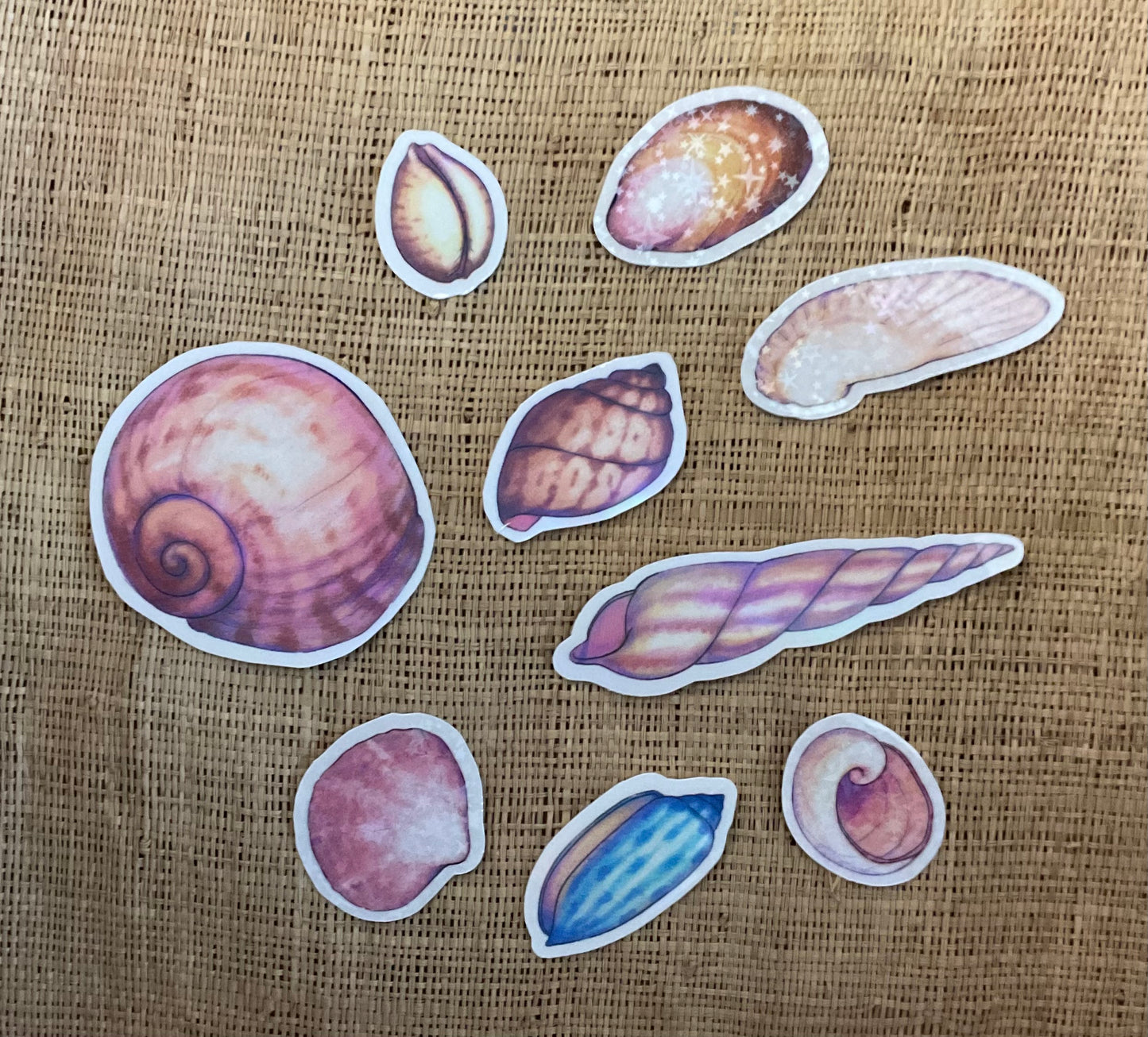 Seashell Stickers