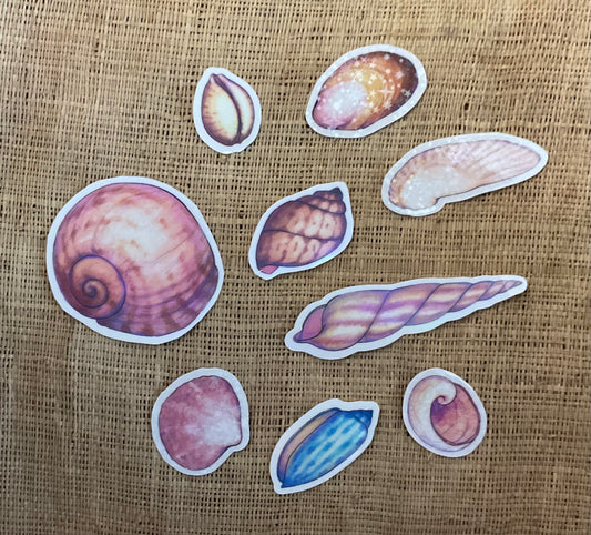 Seashell Stickers