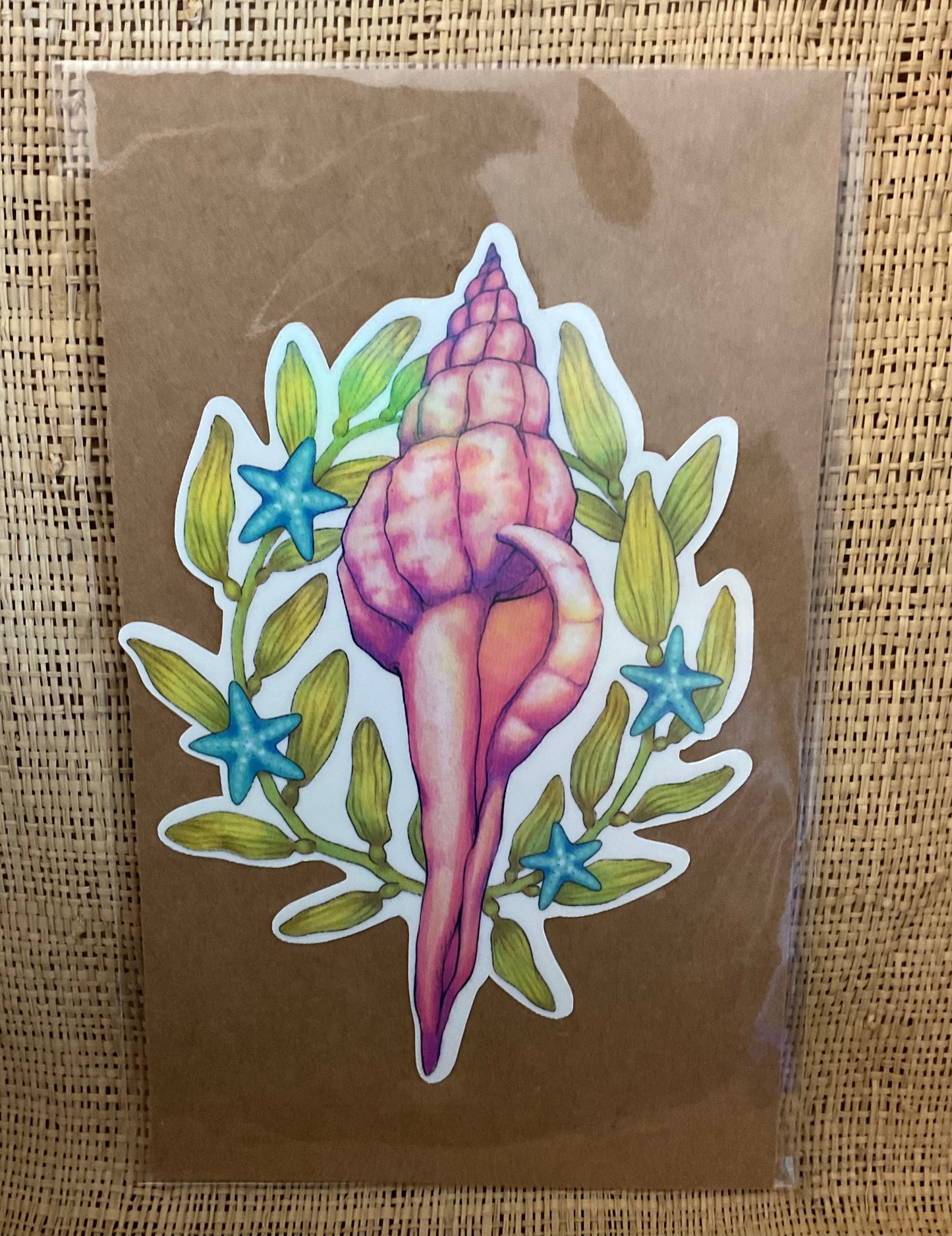 Big Seashell and Kelp