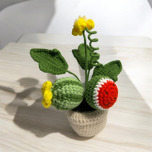 Crochet Watermelon Pot