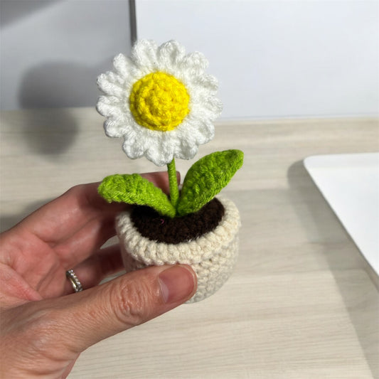 Crochet daisy pot