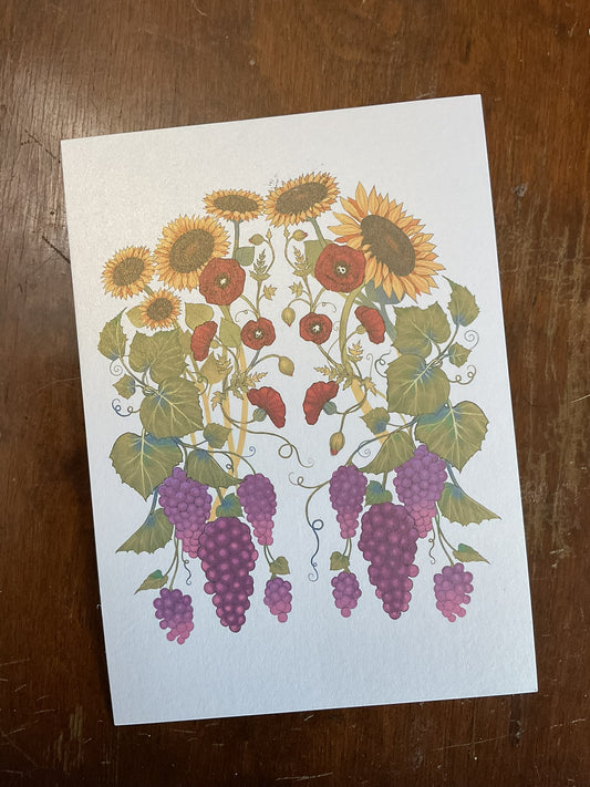 Grape Harvest Postcard (2 pack)