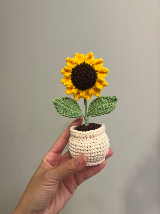 Crochet sunflower in pot LM
